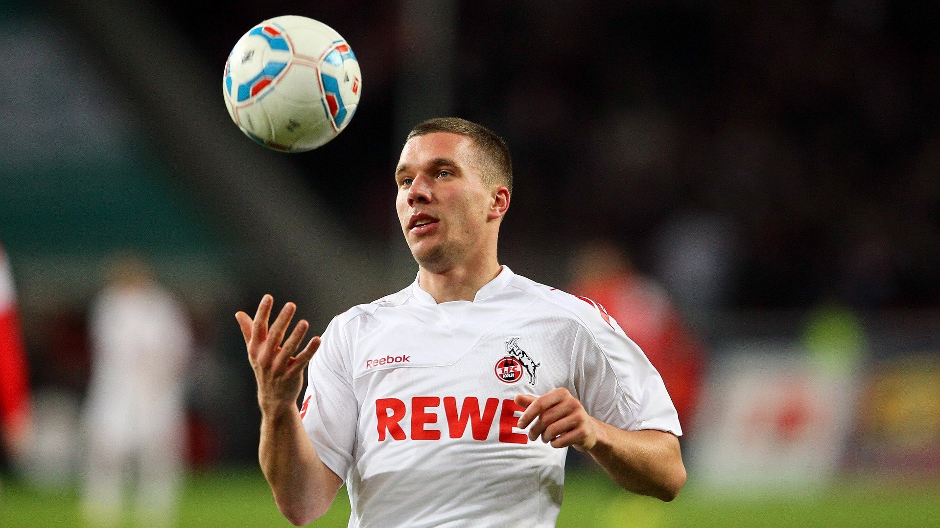 比利时国家队重组，注重年轻球员的培养与引进。，比利时国家队球员介绍